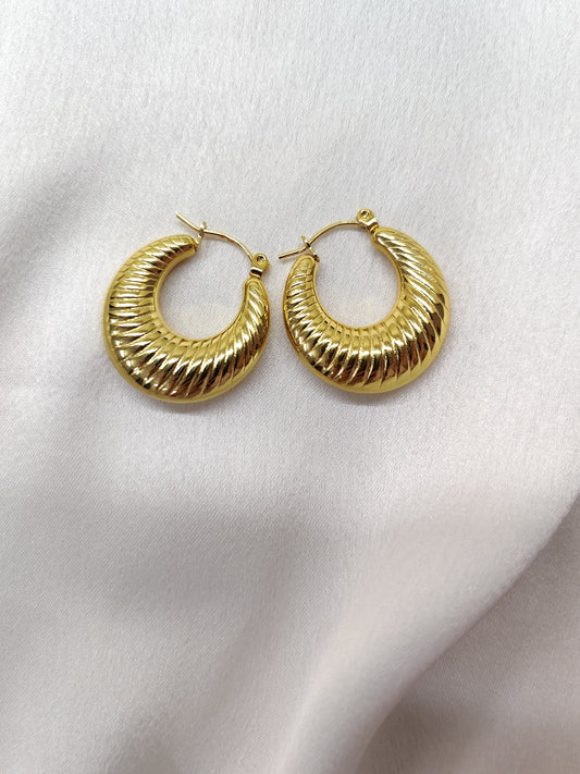 Devon hoops Earrings