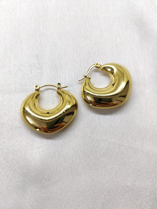 Autumn hoops Earrings